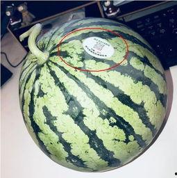 太古里网红吃瓜